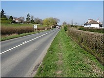 SO7843 : The B4208 near Malvern by Philip Halling