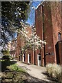 Modern office buildings, rear of Southernhay West, Exeter