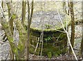 Scour shaft 3, Craigmaddie Reservoir