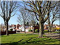 Rosemary Crescent in Goldthorn Park, Wolverhampton