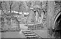 SJ2044 : Valle Crucis Abbey, 1960 – 4 by Alan Murray-Rust