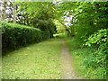 South Bucks Way from Little Kingshill