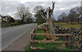 Stag carving along Bradgate Road, Newtown Linford