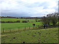 Stile on path to Read Old Bridge