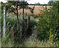 Metal Footbridge near Trueloves Lane