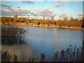 Kennington Park Lake