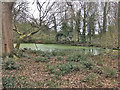 Pond on Epsom common