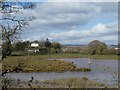 Matford Marshes nature reserve and house overlooking it