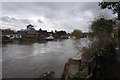 Thames path at Old Windsor