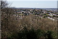 View From Croham Hurst