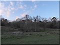 A peaceful spot within Swan Barn Farm