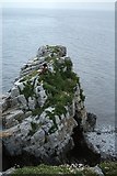 ST2265 : Flat Holm - Castle Rock by Colin Park