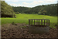 Sheep pasture by Stoneybridge Hill