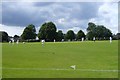 Cricket at Great Kingshill