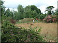 SO3656 : Motte at Westonbury Mill Gardens by Fabian Musto
