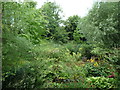 SO3656 : Westonbury Mill Gardens by Fabian Musto