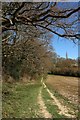 Path from Beech Wood