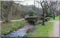 Bridge over Scoonie Burn