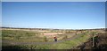 TQ5379 : Aveley Marshes Panorama by Glyn Baker
