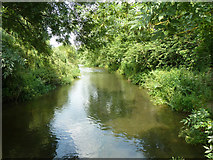 TQ0493 : River Colne upstream of Springwell Lane by Robin Webster