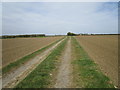 Farm track near Sutton