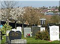 Spring in the cemetery