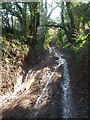 Ringspit Lane near Greenfields