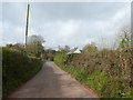 Contrasting hedges, Shillingford St George