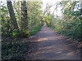 Dollis Brook Walk, Finchley