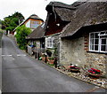 Thatched roof, Pound Road, Lyme Regis