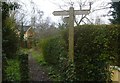 Thames Path at Mill Lane, Cookham