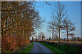 Clayhidon : Country Lane