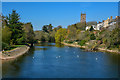 Tiverton : River Exe