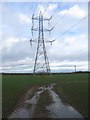 NZ2282 : Powerlines crossing arable land by Graham Robson