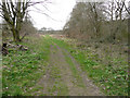 Informal path to Norcliffe Lane