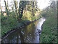 Dollis Brook from Waverley Grove