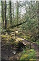 Footbridge North of Golf Course