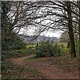 SO9095 : Footpath on Colton Hills near Penn in Wolverhampton by Roger  Kidd