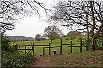 SO9095 : Footpath and pasture on Colton Hills near Penn, Wolverhampton by Roger  Kidd