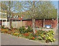 Flower bed in Provender Walk Faversham