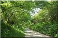 Lane to Upcott Cross