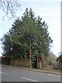 Looking across Weydown Road towards the footpath entrance to High Lane