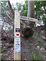 Sign filled sign post in Stoatley Hollow