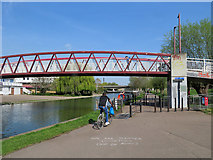 TL4559 : Cutter Ferry Bridge: chalked advice by John Sutton