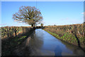 Flood on Sandbridgebury Lane