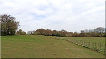 SO9095 : Farmland on Colton Hills near Wolverhampton by Roger  Kidd