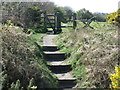 NZ3275 : Gate and Steps near Holywell Ponds by Geoff Holland