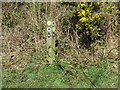 NZ3275 : Directional Marker Post near Holywell Ponds by Geoff Holland