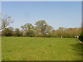 Mobile phone mast in fields beside the A3