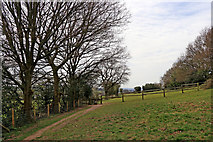SO9095 : Pasture and footpath on Colton Hills near Wolverhampton by Roger  Kidd